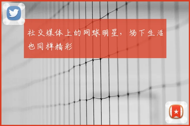 社交媒体上的网球明星，场下生活也同样精彩