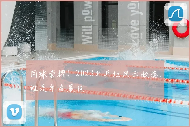国球荣耀!2023年乒坛风云激荡,谁是年度最佳