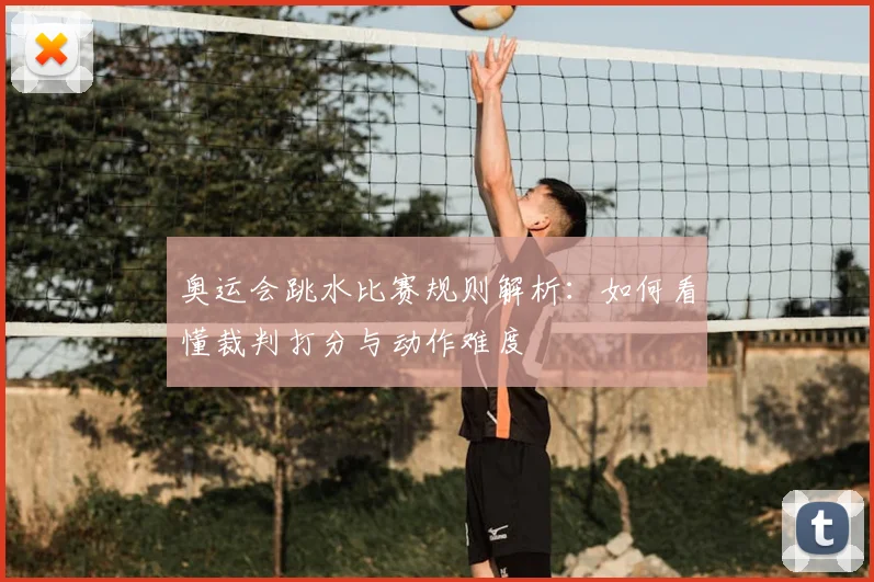 奥运会跳水比赛规则解析：如何看懂裁判打分与动作难度