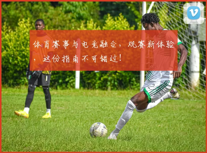 体育赛事与电竞融合,观赛新体验,这份指南不可错过!