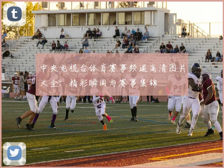 中央电视台体育赛事频道高清图片大全:精彩瞬间与赛事集锦