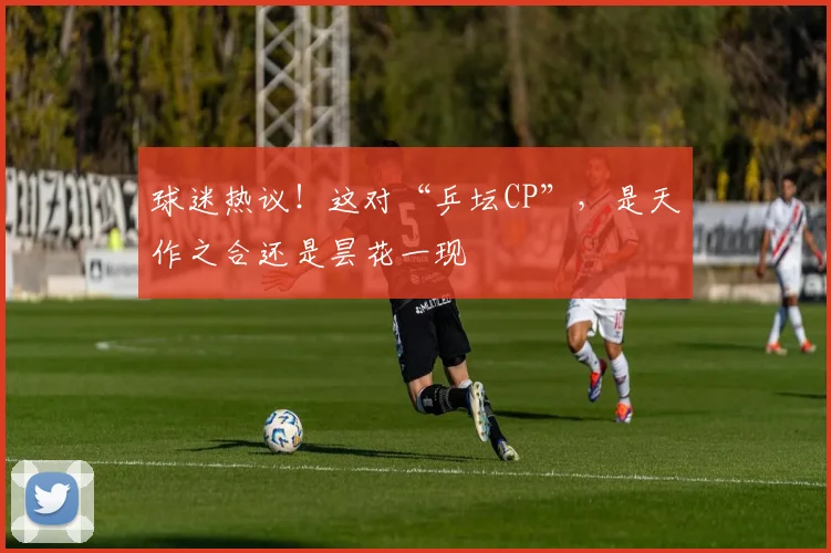 球迷热议!这对“乒坛CP”,是天作之合还是昙花一现