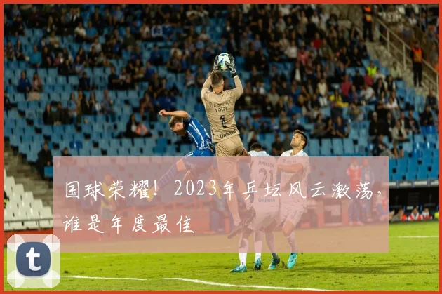 国球荣耀!2023年乒坛风云激荡,谁是年度最佳
